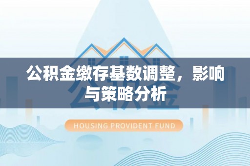 颍泉公积金缴存基数调整，影响与策略分析