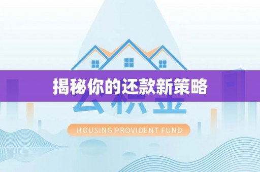 颍泉揭秘你的还款新策略