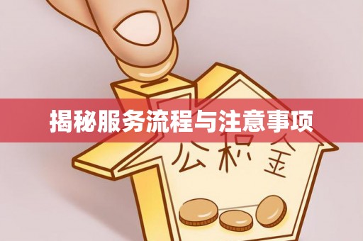 颍泉揭秘服务流程与注意事项