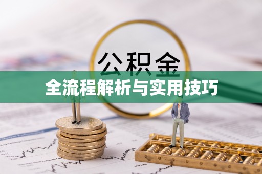 颍泉全流程解析与实用技巧