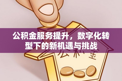 颍泉公积金服务提升，数字化转型下的新机遇与挑战