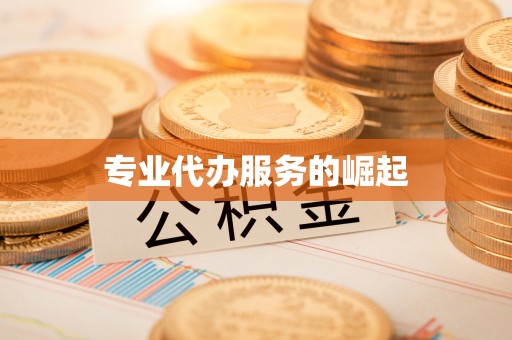 颍泉专业代办服务的崛起