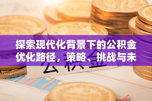 颍泉探索现代化背景下的公积金优化路径，策略、挑战与未来展望