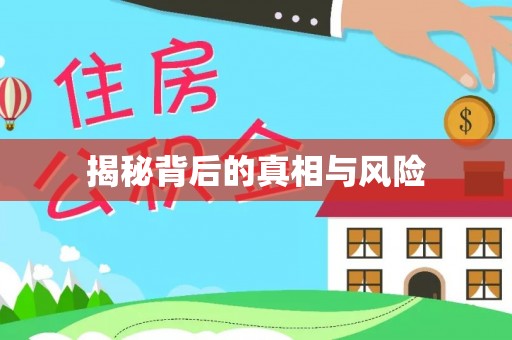 颍泉揭秘背后的真相与风险