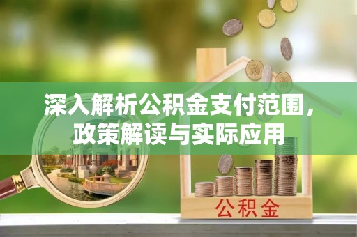 颍泉深入解析公积金支付范围，政策解读与实际应用