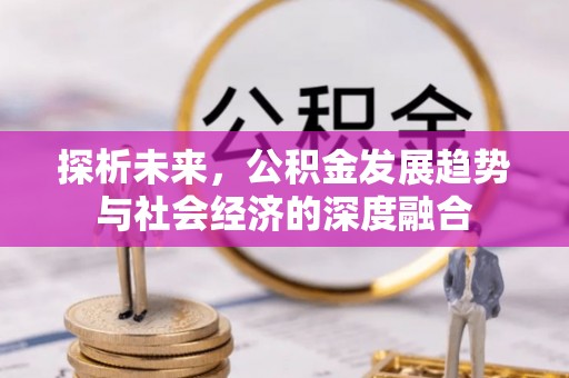 颍泉探析未来，公积金发展趋势与社会经济的深度融合