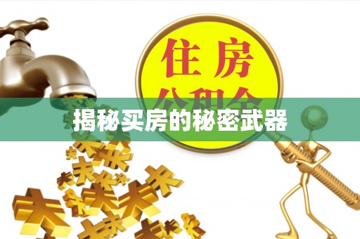 颍泉揭秘买房的秘密武器