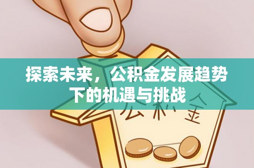 颍泉探索未来，公积金发展趋势下的机遇与挑战