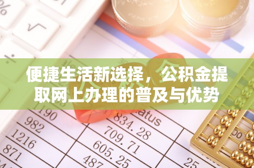 颍泉便捷生活新选择，公积金提取网上办理的普及与优势