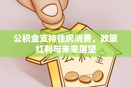 颍泉公积金支持住房消费，政策红利与未来展望