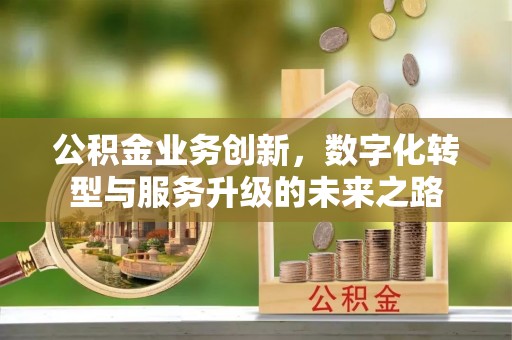 颍泉公积金业务创新，数字化转型与服务升级的未来之路