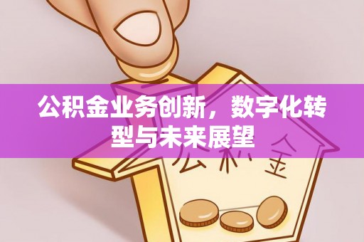 颍泉公积金业务创新，数字化转型与未来展望