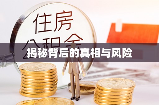 颍泉揭秘背后的真相与风险