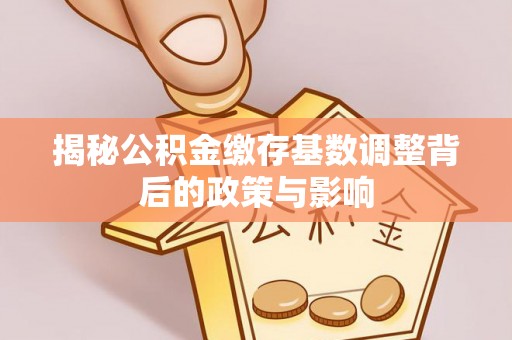 颍泉揭秘公积金缴存基数调整背后的政策与影响