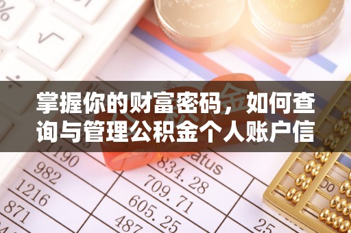 颍泉掌握你的财富密码，如何查询与管理公积金个人账户信息