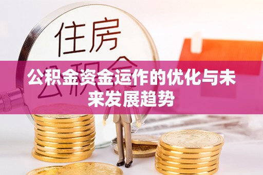 颍泉公积金资金运作的优化与未来发展趋势