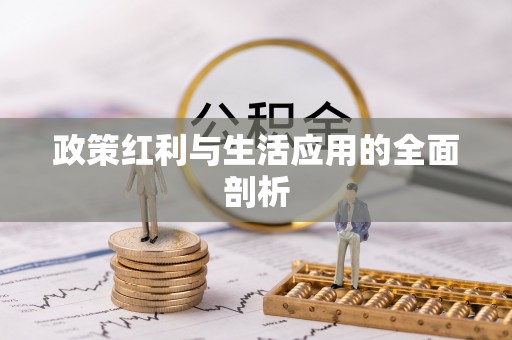 颍泉政策红利与生活应用的全面剖析