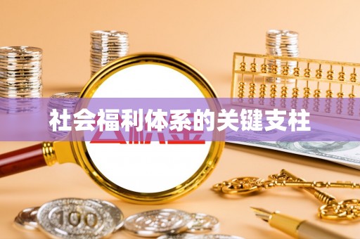 颍泉社会福利体系的关键支柱