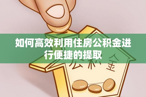 颍泉如何高效利用住房公积金进行便捷的提取