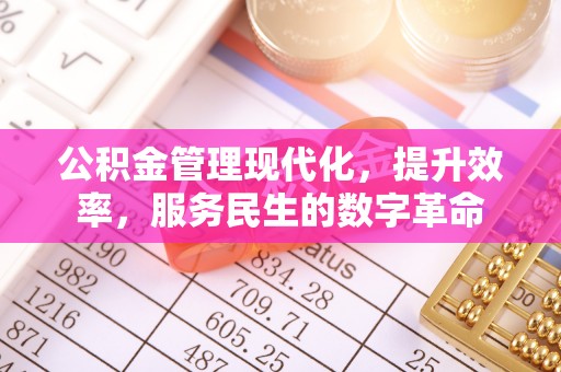 颍泉公积金管理现代化，提升效率，服务民生的数字革命