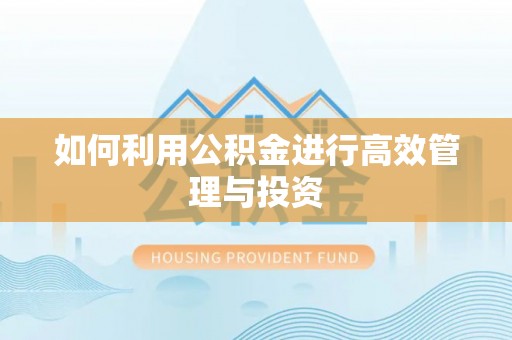 颍泉如何利用公积金进行高效管理与投资
