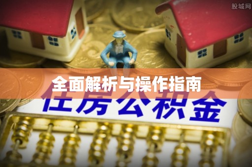 颍泉全面解析与操作指南