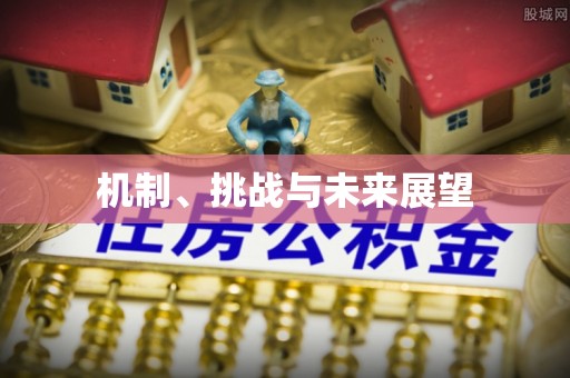 颍泉机制、挑战与未来展望